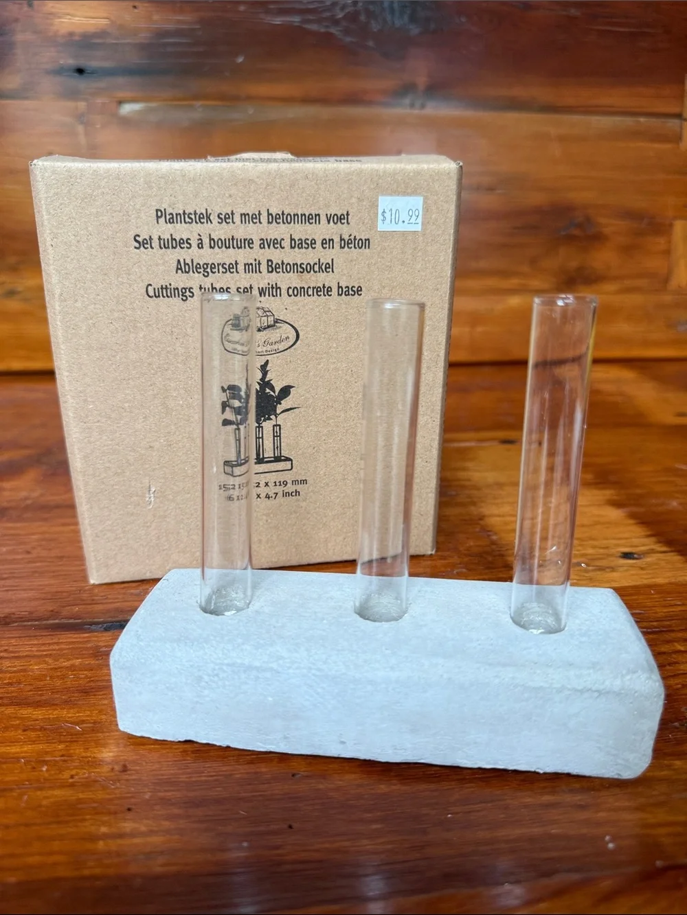 Cuttings Tubes Set with Concrete Base Propagation Set - Clear Glass Tubes